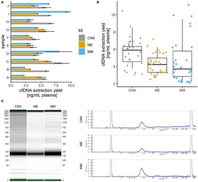 Feasibility of Droplet Digital PCR Analysis of Plasma Cell-Free DNA From Kidney Transplant Patients